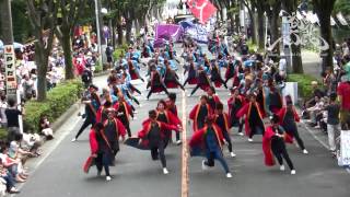 武州武蔵2014 歓～心一つ～｜2014彩夏祭 公園通り南会場