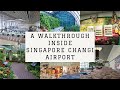 A Walkthrough inside Singapore Changi Airport - 4K | Best Airport in the World | Airport Layover