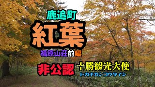 とかち観光大使（非公認）フルタが行く！！紅葉　福原山荘前編