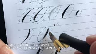 Basic Stroke - Reverse Oval