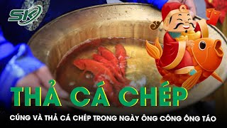 ‘Tất tần tật’ về nghi thức cúng và thả cá chép trong ngày ông Công ông Táo | SKĐS