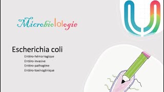 Urgences  - MicrobioLOLogie -  Escherichia coli