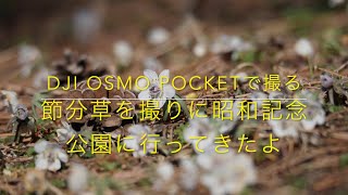 【dji OSMO POCKETで撮る】昭和記念公園の節分草、多摩モノレール並走、多摩湖周回道路特集だよ