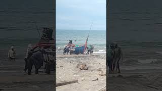 Beginilah kerja kami anak nelayan habis melaut #fishing