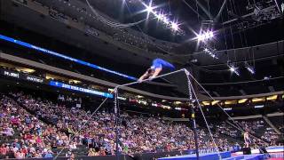 Chris Brooks - High Bar - 2011 Visa Championships - Men - Day 2