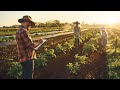 Farmers will be the ‘last’ to see gains from food price increase