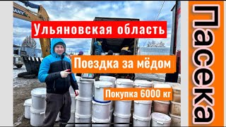 Покупаем и продаем мёд в больших объемах. Личная пасека 700 пчелосемей. Зимовка пчел