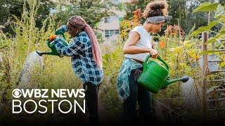 Why community gardens are so important