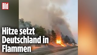 Deutschland brennt: Riesiger Waldbrand an der A44 bei Kassel