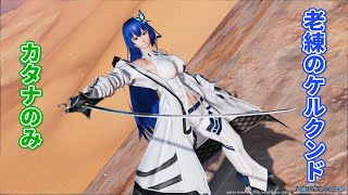 【PSO2:NGS】老練のケルクンド カタナ ノーダメージ