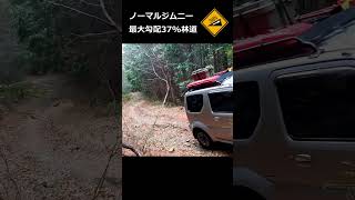 ノーマルジムニーの走破性すごい【勾配37%林道】#shorts #ジムニー #jimny  #林道