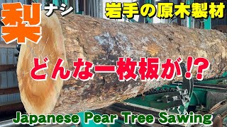 【鮮やかな赤身】ナシ原木から一枚板を製材しました。【木の店さんもく】Japanese Pear tree Sawing