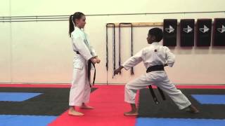 Kihon Ippon #1