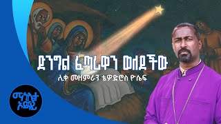 ድንግል ፈጣሪዋን ወለደችው | ሊቀ መዘምራን ቴዎድሮስ ዮሴፍ | dngle fetariwan weledechew | liqe mezemeran tewodros yosefe