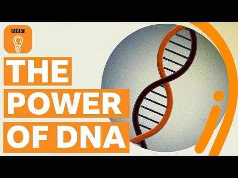 What is DNA and who discovered it?