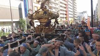 令和６年　江東区大島＜東大島神社＞秋まつり『神幸祭』　本社大神輿＝宮出・渡御（新大橋通り～大島7～サンロード中の橋）