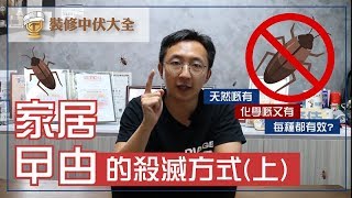 家居曱甴的殺滅方式(上)