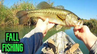 Fall Fishing Exploring New Spot | Aggressive Bass!