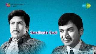 Gandhada Gudi  | Navaaduva Nudiye song
