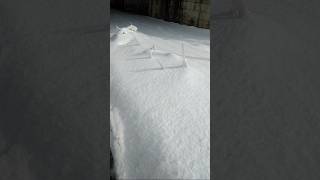 今日撮影！超速報！現在の積雪状況！　新潟県柏崎市　今日再び寒波の峠！　#豪雪地帯