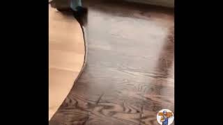 Wood floor covering 목재 바닥재 フローリング কাঠের মেঝে .াকা Revestimiento de suelo de madera