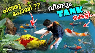 💥കിളിക്കൂട്ടിനകത്ത് വീണ്ടും TANK കെട്ടി | BUILD NEW DIY MONSTER POND IN BACKYARD DIY