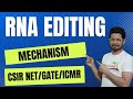 RNA editing | mRNA editing mechanism | eukaryotic rna processing | c to u