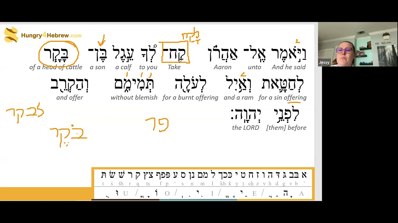 Shmini Torah Portion Hebrew Study Youtube