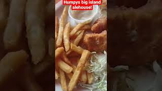 Visit Humpy's big island alehouse!