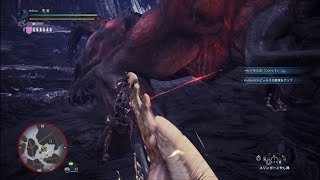 【MHW】エオルゼアからの来訪者  チャージアックス  練習  TA wiki Rules