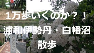 1万歩いくのか？！浦和駅方面　散歩