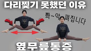 옆 무릎 아파서 다리찢기 못하겠다면? 이 연습을 하시면 됩니다.