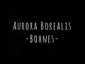 Aurora Borealis (lyrics) - Bohnes
