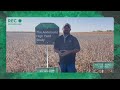 insidepti s3•e29 irrigation picking up drip tape ‣ corn soybean