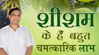 शीशम (Rosewood) के हैं बहुत चमत्कारिक लाभ | Acharya Balkrishna