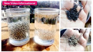 Truth about CHIA Seeds, Sabja \u0026 BASIL Seeds: CONFUSION, Basil Vs Chia Seeds - Dr Shalini