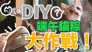 DIY端午貓粽大作戰-到底吃不吃