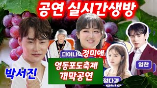 현장상황 실시간생방 영동포도축제 박서진 정미애 정다경 임찬 듀오 축하공연