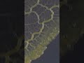 slime mould timelapse slimemold theblob thelastofus