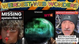 weirdest web wonders vol 111