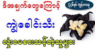 ကျွဲခေါင်းသီး လုံး၀မစားသင့်တဲ့ သူများ၊ Health benefit of Water caltrop