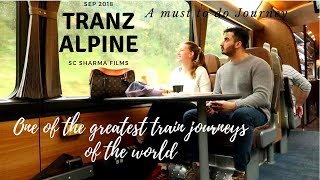 The TRAIN you WON'T BELIEVE exist in New Zealand || TranzAlpine train || Vlog 19