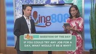 Living808 - If you could try any job for a day, what would it be and why?