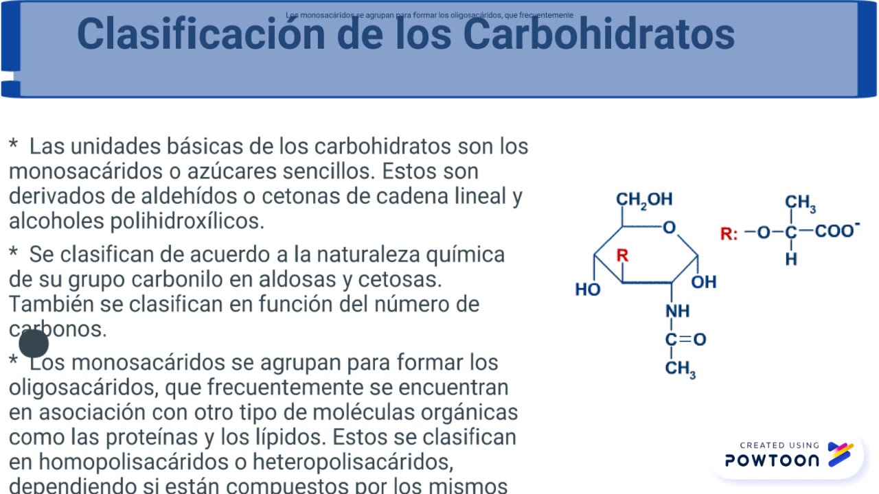 Copy Of BIOMOLECULAS ORGANICAS.pptx - YouTube