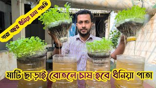 প্লাস্টিক বোতলে ধনিয়া পাতা চাষ পদ্ধতি// Cultivation method of coriander leaves in plastic bottles