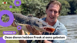 Waarom wordt Freek Vonk zo vaak gebeten?