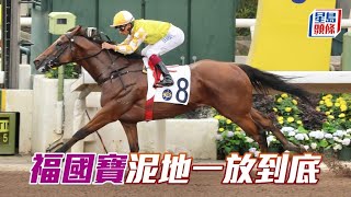 福國寶  田泰安  勝意龍  董明朗  凱旋時光  潘頓   2024 05 05