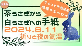 茶うさぎから白うさぎへの手紙 2024「224. 祈りと夜の気温」