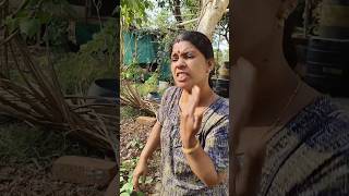 പിന്നെ നിൻ്റെ അച്ഛനാണോ ഇതെല്ലാം ചെയ്തേ  #kerala #shorts #short #shortvideo