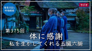 第375回「体に感謝 – 私を生かしてくれる五臓六腑 –」2022/1/16【毎日の管長日記と呼吸瞑想】｜ 臨済宗円覚寺派管長 横田南嶺老師